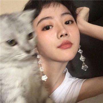 道友请留步华为游戏下载